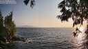 ./images/koeye/fitz-hugh/20250621/fitz-hugh20250621_195509M.jpg