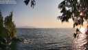 ./images/koeye/fitz-hugh/20250621/fitz-hugh20250621_200509M.jpg