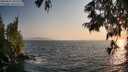 ./images/koeye/fitz-hugh/20250621/fitz-hugh20250621_201509M.jpg