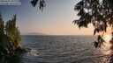 ./images/koeye/fitz-hugh/20250621/fitz-hugh20250621_202008M.jpg