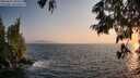 ./images/koeye/fitz-hugh/20250621/fitz-hugh20250621_203506M.jpg