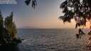 ./images/koeye/fitz-hugh/20250621/fitz-hugh20250621_205509M.jpg