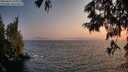 ./images/koeye/fitz-hugh/20250621/fitz-hugh20250621_211008M.jpg