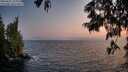 ./images/koeye/fitz-hugh/20250621/fitz-hugh20250621_213009M.jpg