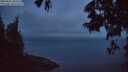 ./images/koeye/fitz-hugh/20250622/fitz-hugh20250622_042509M.jpg