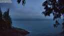 ./images/koeye/fitz-hugh/20250622/fitz-hugh20250622_043507M.jpg