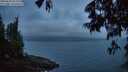 ./images/koeye/fitz-hugh/20250622/fitz-hugh20250622_044009M.jpg