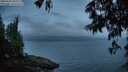 ./images/koeye/fitz-hugh/20250622/fitz-hugh20250622_044509M.jpg
