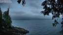 ./images/koeye/fitz-hugh/20250622/fitz-hugh20250622_045009M.jpg