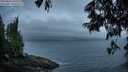 ./images/koeye/fitz-hugh/20250622/fitz-hugh20250622_045508M.jpg