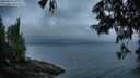 ./images/koeye/fitz-hugh/20250622/fitz-hugh20250622_050009M.jpg