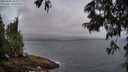 ./images/koeye/fitz-hugh/20250622/fitz-hugh20250622_054009M.jpg