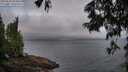./images/koeye/fitz-hugh/20250622/fitz-hugh20250622_054507M.jpg