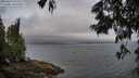./images/koeye/fitz-hugh/20250622/fitz-hugh20250622_055509M.jpg