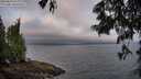 ./images/koeye/fitz-hugh/20250622/fitz-hugh20250622_060010M.jpg
