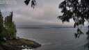 ./images/koeye/fitz-hugh/20250622/fitz-hugh20250622_060509M.jpg