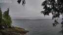 ./images/koeye/fitz-hugh/20250622/fitz-hugh20250622_063510M.jpg
