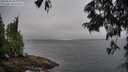 ./images/koeye/fitz-hugh/20250622/fitz-hugh20250622_064011M.jpg