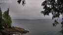 ./images/koeye/fitz-hugh/20250622/fitz-hugh20250622_065009M.jpg