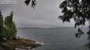./images/koeye/fitz-hugh/20250622/fitz-hugh20250622_070510M.jpg