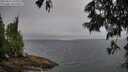 ./images/koeye/fitz-hugh/20250622/fitz-hugh20250622_071010M.jpg
