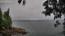 ./images/koeye/fitz-hugh/20250622/fitz-hugh20250622_072510M.jpg