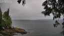 ./images/koeye/fitz-hugh/20250622/fitz-hugh20250622_074011M.jpg
