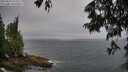 ./images/koeye/fitz-hugh/20250622/fitz-hugh20250622_074509M.jpg