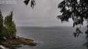 ./images/koeye/fitz-hugh/20250622/fitz-hugh20250622_075009M.jpg