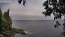 ./images/koeye/fitz-hugh/20250622/fitz-hugh20250622_081010M.jpg