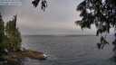./images/koeye/fitz-hugh/20250622/fitz-hugh20250622_081511M.jpg