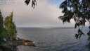./images/koeye/fitz-hugh/20250622/fitz-hugh20250622_085010M.jpg