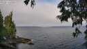 ./images/koeye/fitz-hugh/20250622/fitz-hugh20250622_091011M.jpg