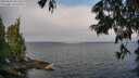 ./images/koeye/fitz-hugh/20250622/fitz-hugh20250622_091510M.jpg