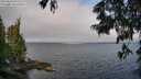 ./images/koeye/fitz-hugh/20250622/fitz-hugh20250622_092508M.jpg