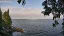 ./images/koeye/fitz-hugh/20250622/fitz-hugh20250622_094011M.jpg