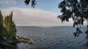 ./images/koeye/fitz-hugh/20250622/fitz-hugh20250622_095509M.jpg