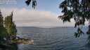 ./images/koeye/fitz-hugh/20250622/fitz-hugh20250622_102509M.jpg