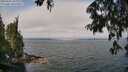 ./images/koeye/fitz-hugh/20250622/fitz-hugh20250622_104011M.jpg