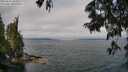 ./images/koeye/fitz-hugh/20250622/fitz-hugh20250622_104511M.jpg
