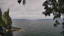 ./images/koeye/fitz-hugh/20250622/fitz-hugh20250622_105508M.jpg