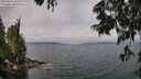 ./images/koeye/fitz-hugh/20250622/fitz-hugh20250622_110010M.jpg