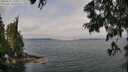 ./images/koeye/fitz-hugh/20250622/fitz-hugh20250622_111009M.jpg