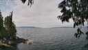 ./images/koeye/fitz-hugh/20250622/fitz-hugh20250622_120011M.jpg