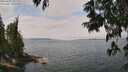 ./images/koeye/fitz-hugh/20250622/fitz-hugh20250622_122011M.jpg