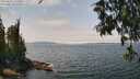 ./images/koeye/fitz-hugh/20250622/fitz-hugh20250622_132510M.jpg