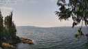 ./images/koeye/fitz-hugh/20250622/fitz-hugh20250622_133511M.jpg