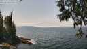 ./images/koeye/fitz-hugh/20250622/fitz-hugh20250622_134511M.jpg