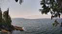 ./images/koeye/fitz-hugh/20250622/fitz-hugh20250622_135010M.jpg
