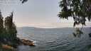 ./images/koeye/fitz-hugh/20250622/fitz-hugh20250622_140009M.jpg